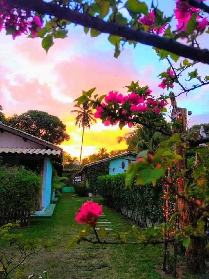 Casa Jasmim Imbassai-Ba Lägenhet Mata de Sao Joao Exteriör bild